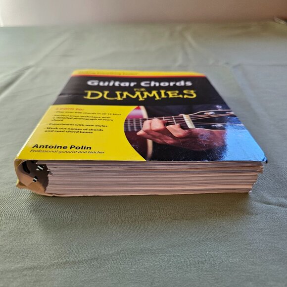 Guitar Chords for Dummies by Antoine Polin Paperback Spiralbound Guitar Guide - Picture 8 of 12